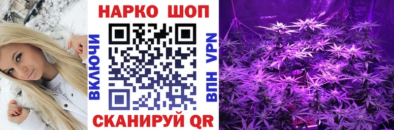 Конопля Надым