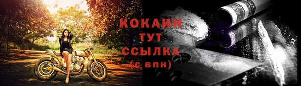 синтетический гашиш Заводоуковск