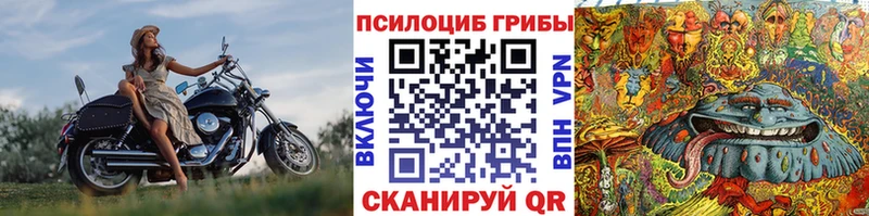 Купить  Надым  Галлюциногенные грибы Psilocybine cubensis 